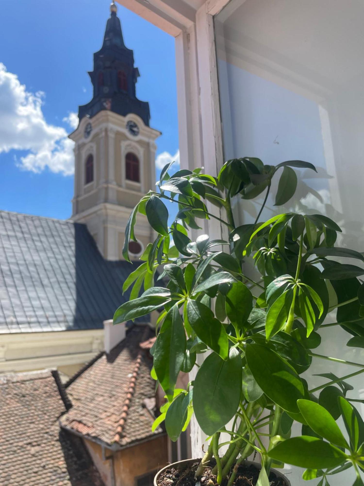 Apartament Ultracentral Alecsandri 1 オラデア エクステリア 写真